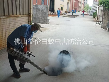 荷城街道消灭蚊虫工程