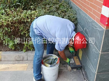 更楼安装灭鼠器工程